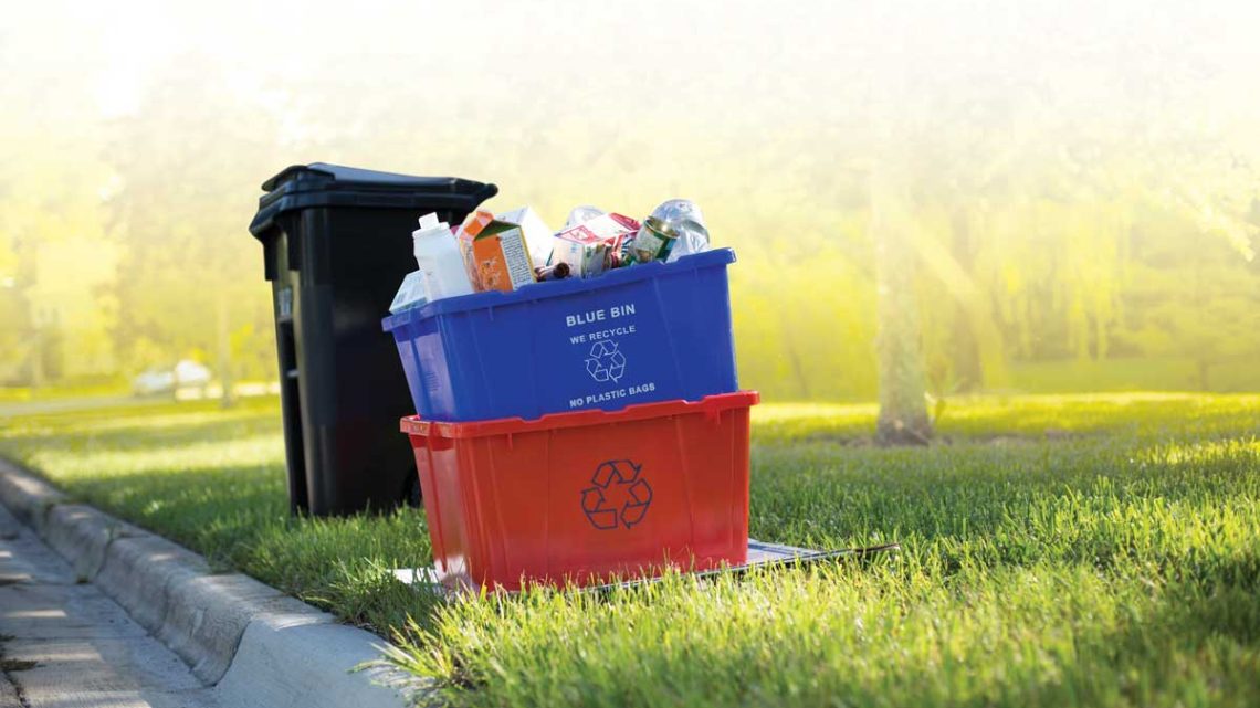 Cart and Bins